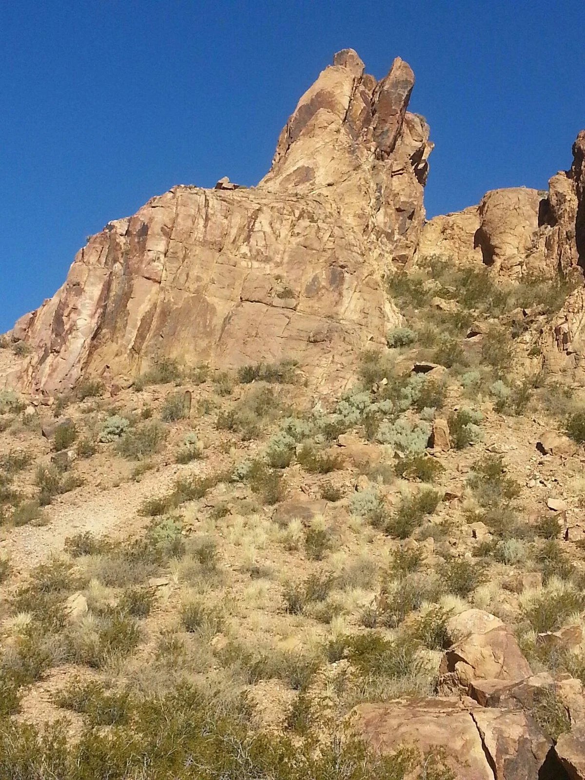 Cerro Del Gato