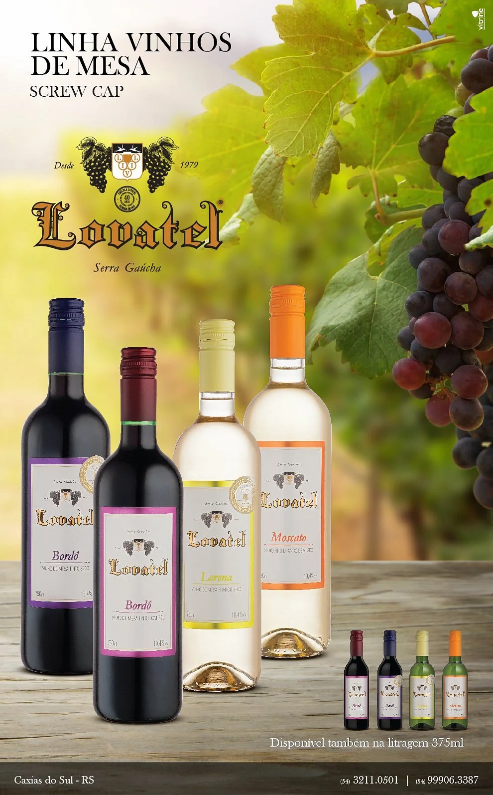 Vinicola Lovatel - O Artesanato do Vinho