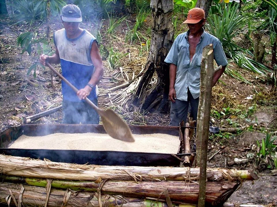 Amazonikos