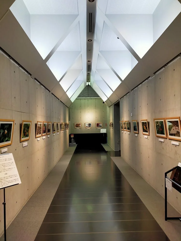 Asaka City Museum
