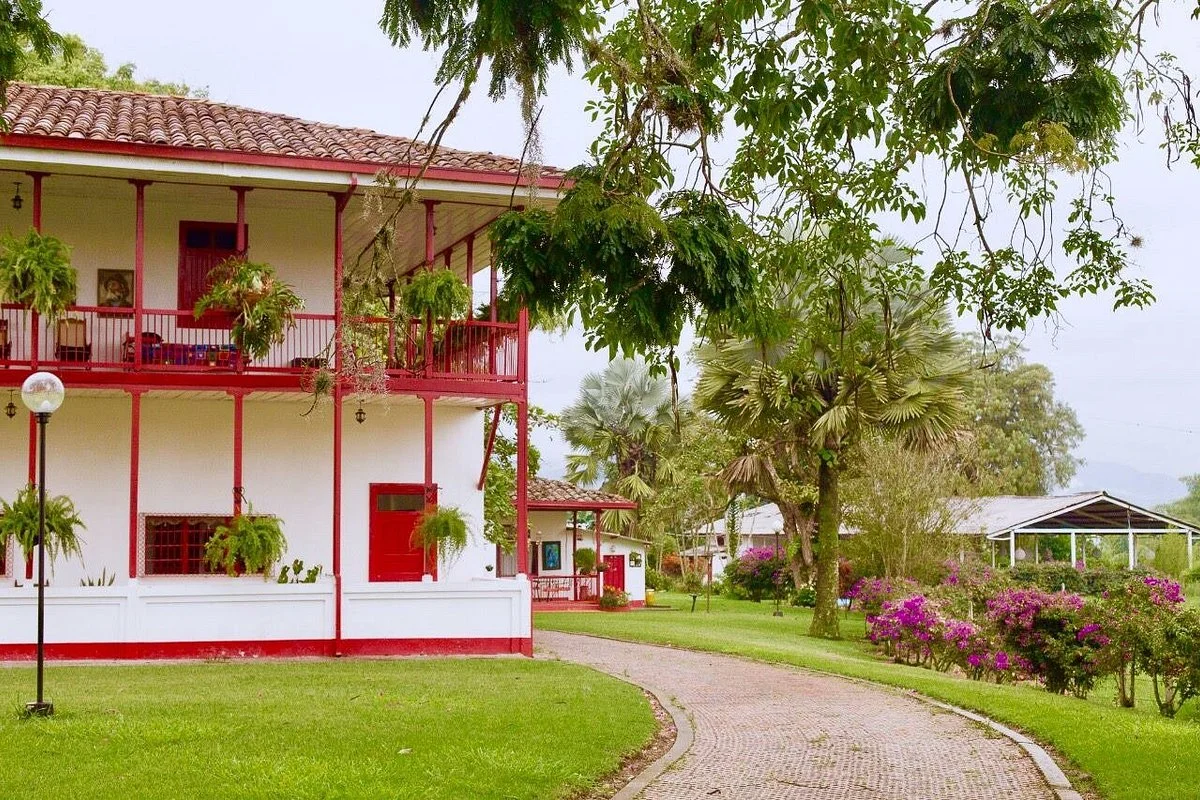 Colombian Coffee Adventures