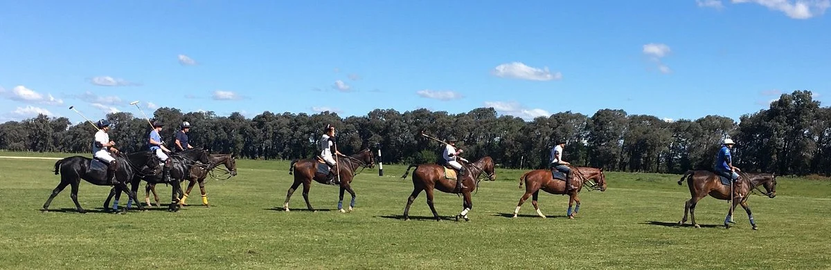 El Cardo Polo Club