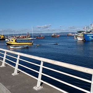 La Botavara