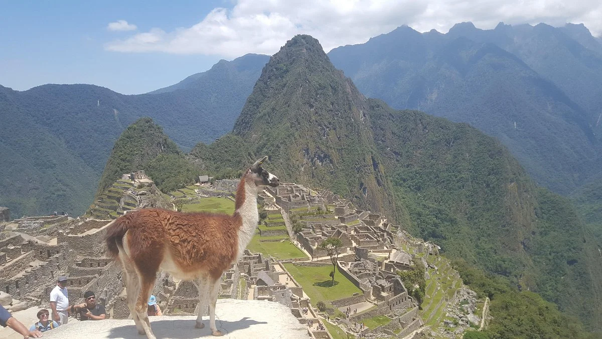 Machupicchu Mountain Tours