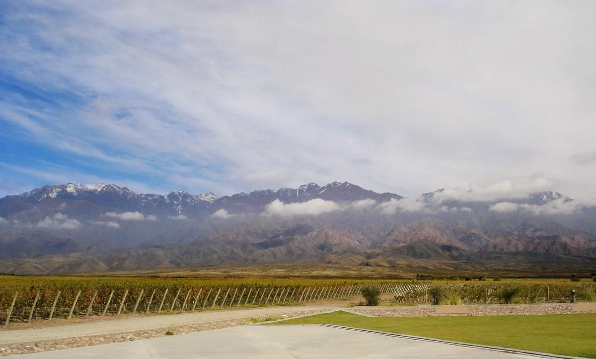 Malbec Wine Tours