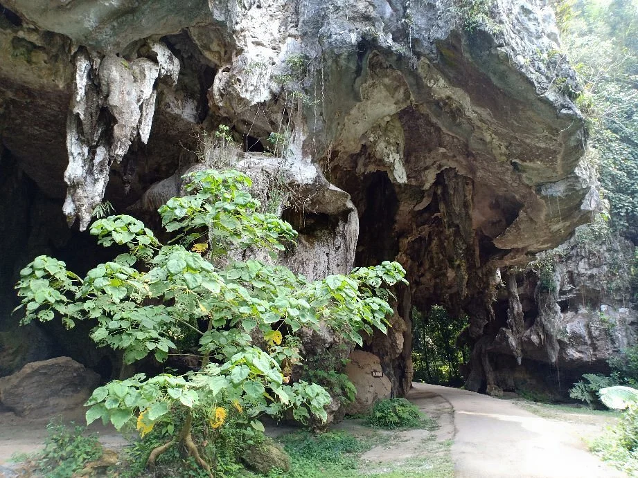 Kota Gelanggi Caves