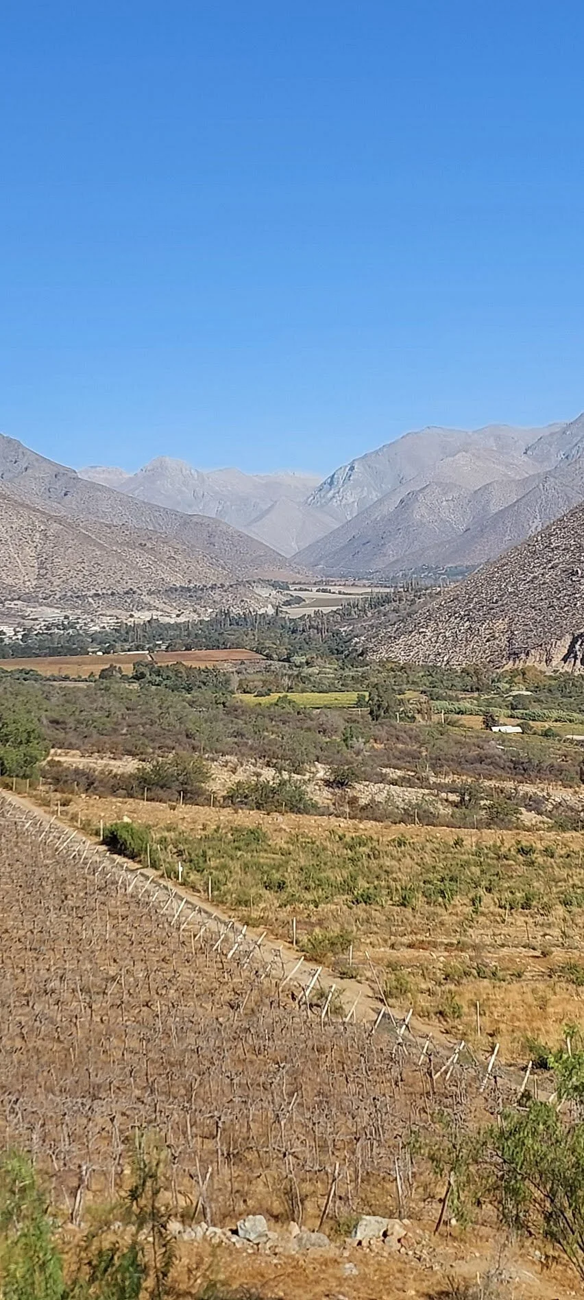 Chañaral De Carén