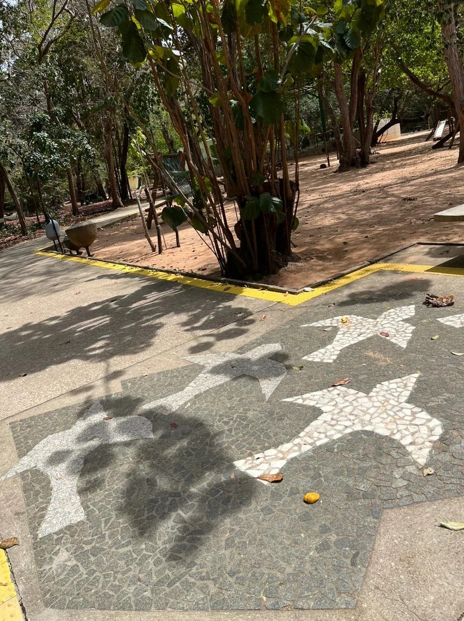 Bosque Dos Namorados