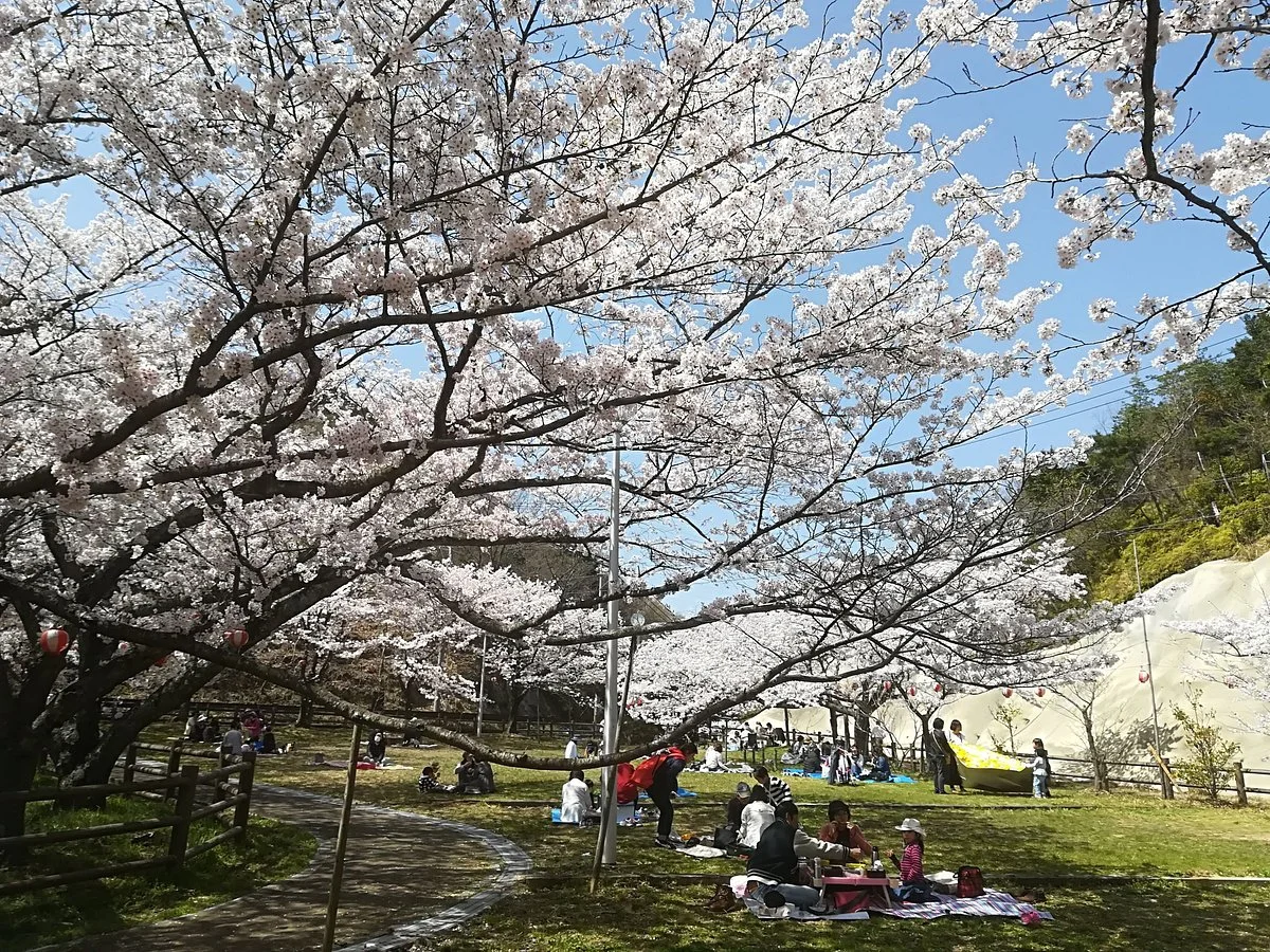 Okuyama Ameyama Nature Park