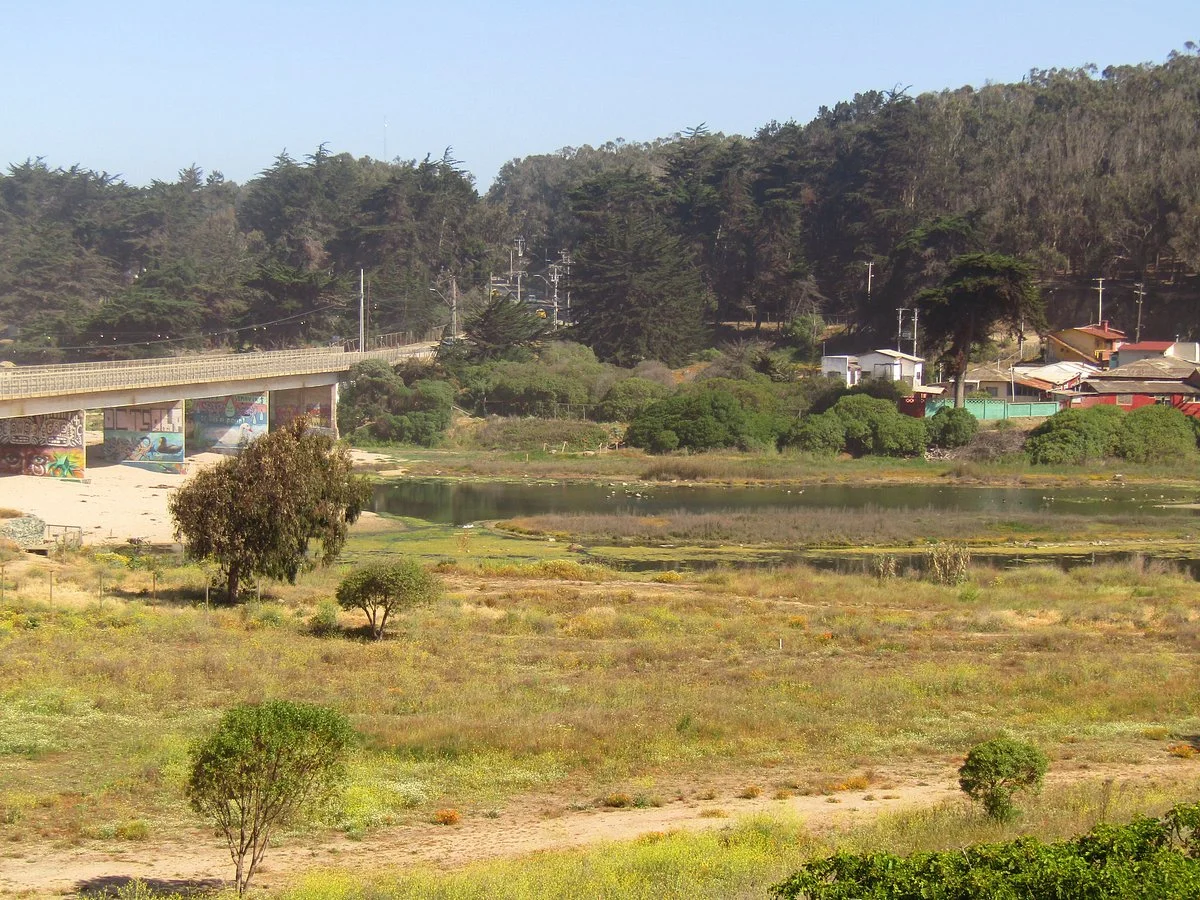 Humedal De Córdova