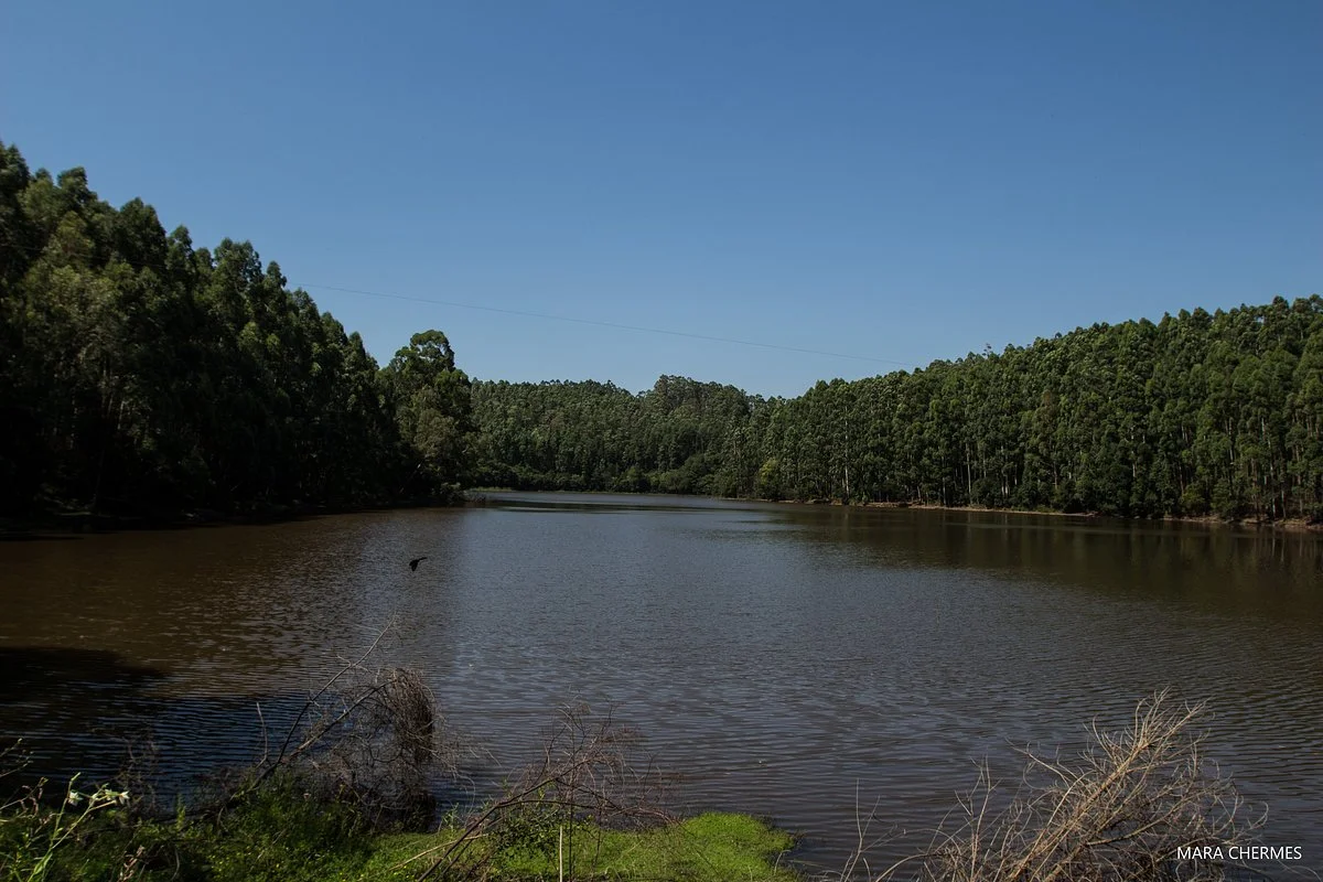 Lagoa Do Tico-tico