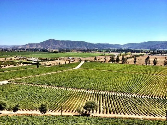 Detour Wine Taste Day Tour