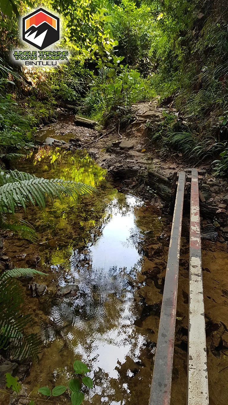 Jungle Trekking Taman Tumbina Bintulu