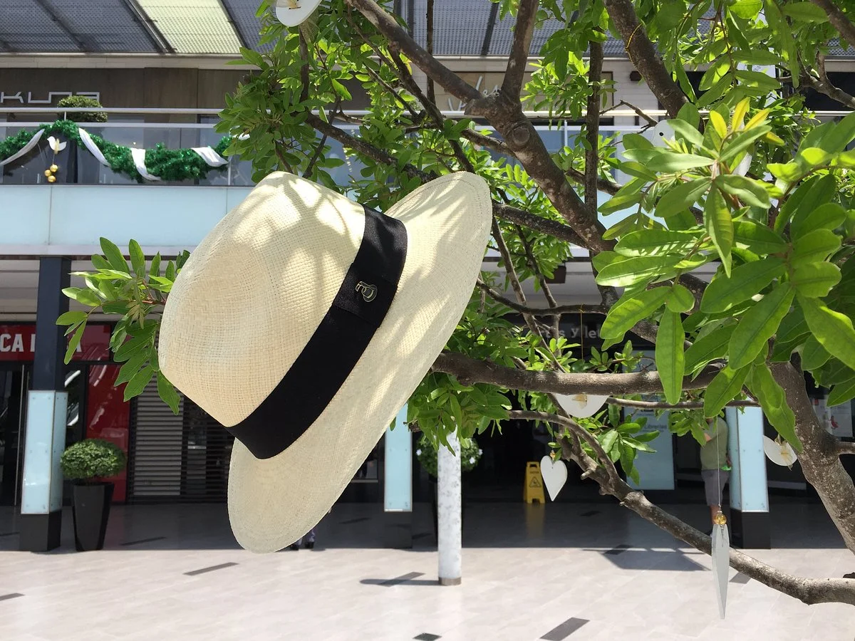 Panama Hats