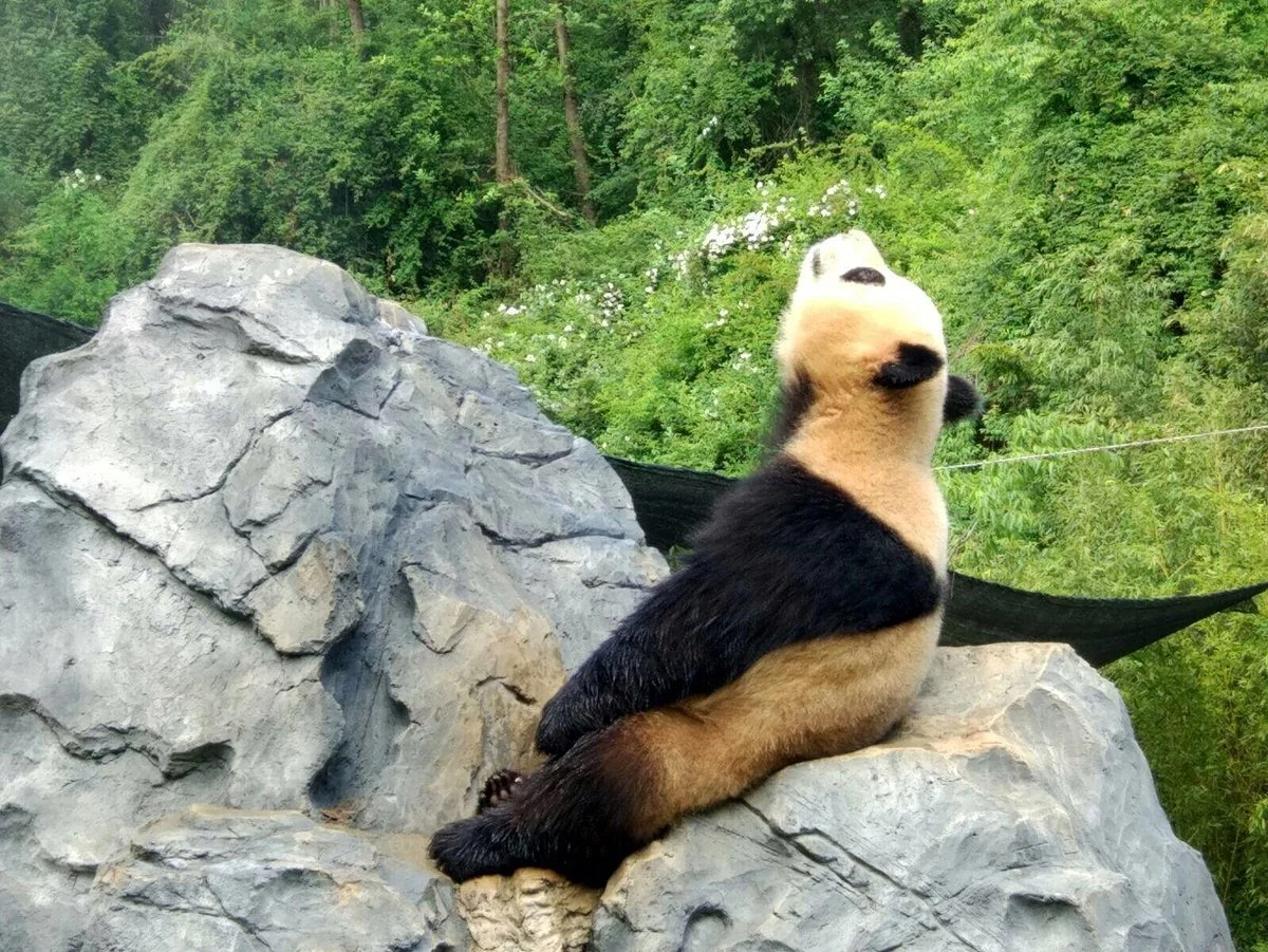 Yunnan Wildlife Park