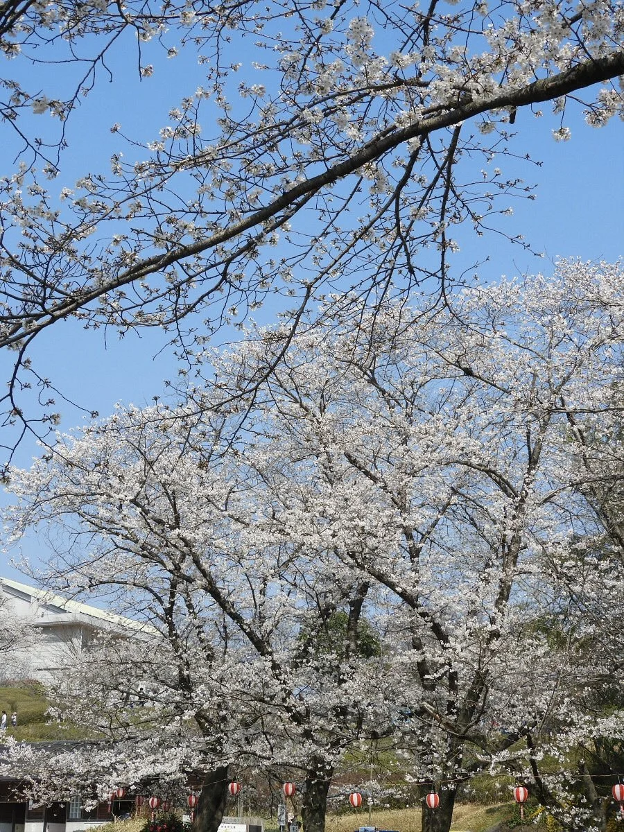 Myosen-ji Park