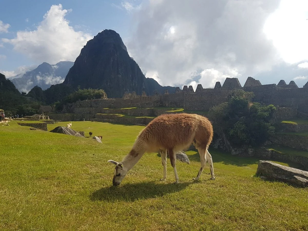 Inkas Peru Nature - Day Tours