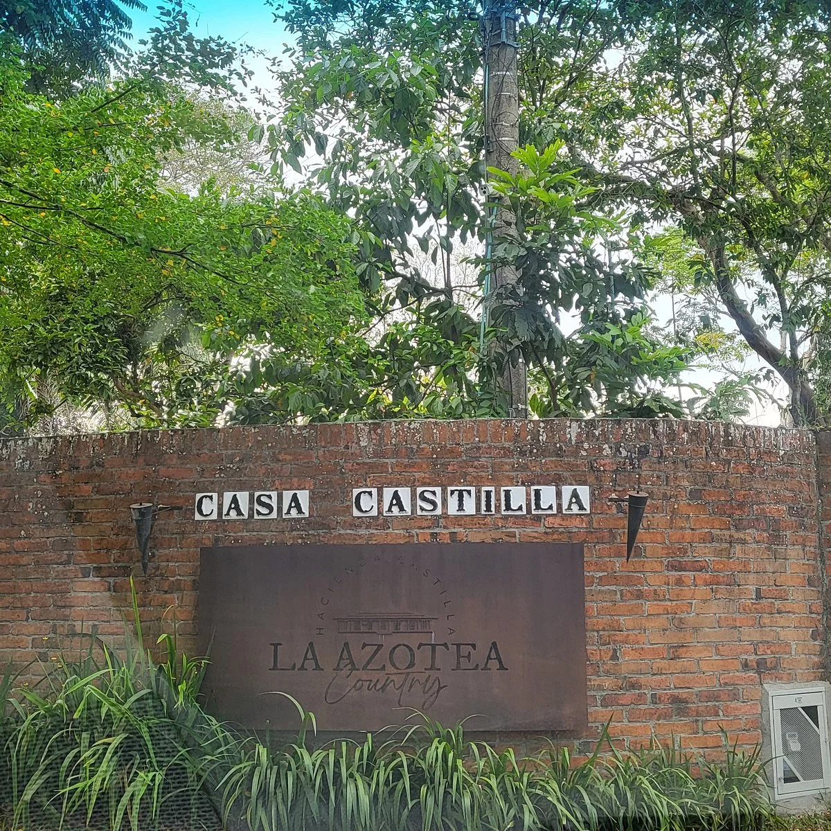 Tissue Spa