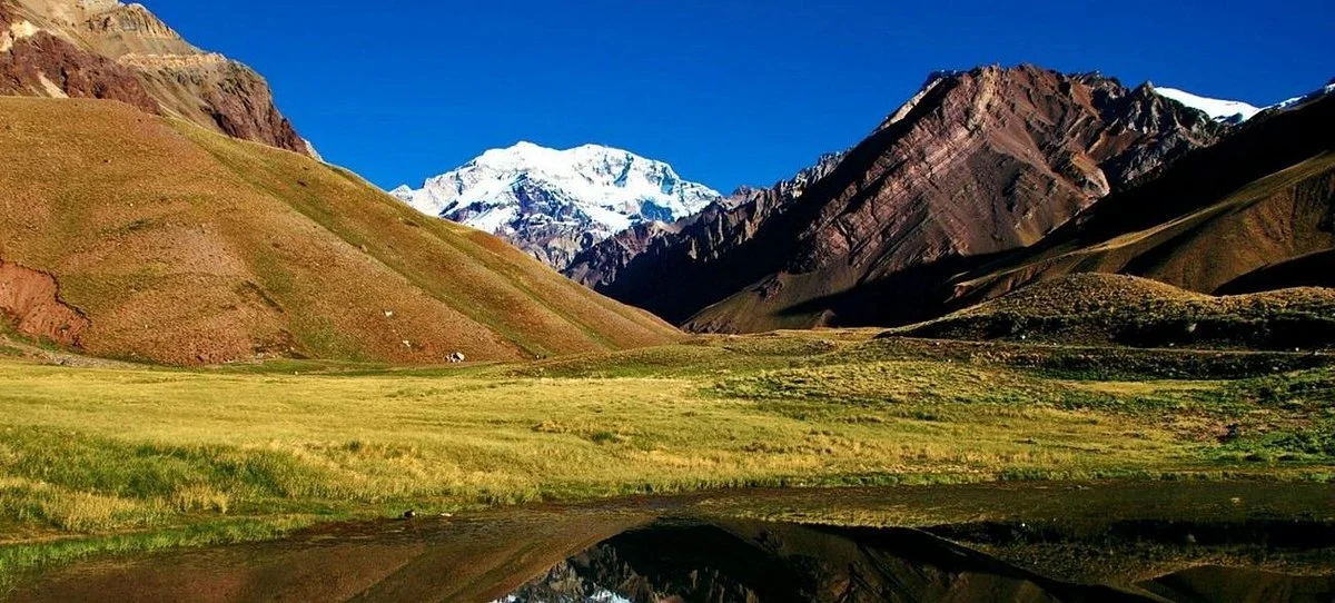 Feeling Mendoza