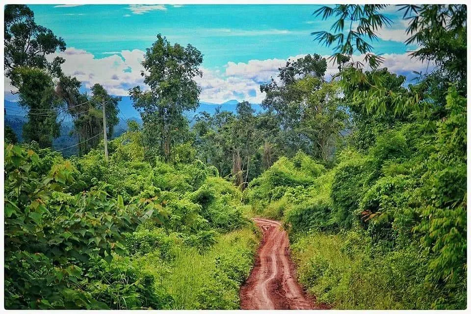 Cardamom Mountains