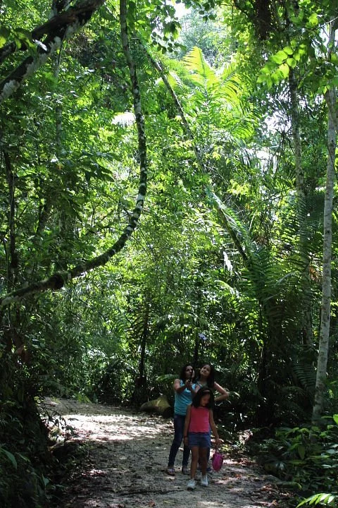 Tarapoto Motors Tours