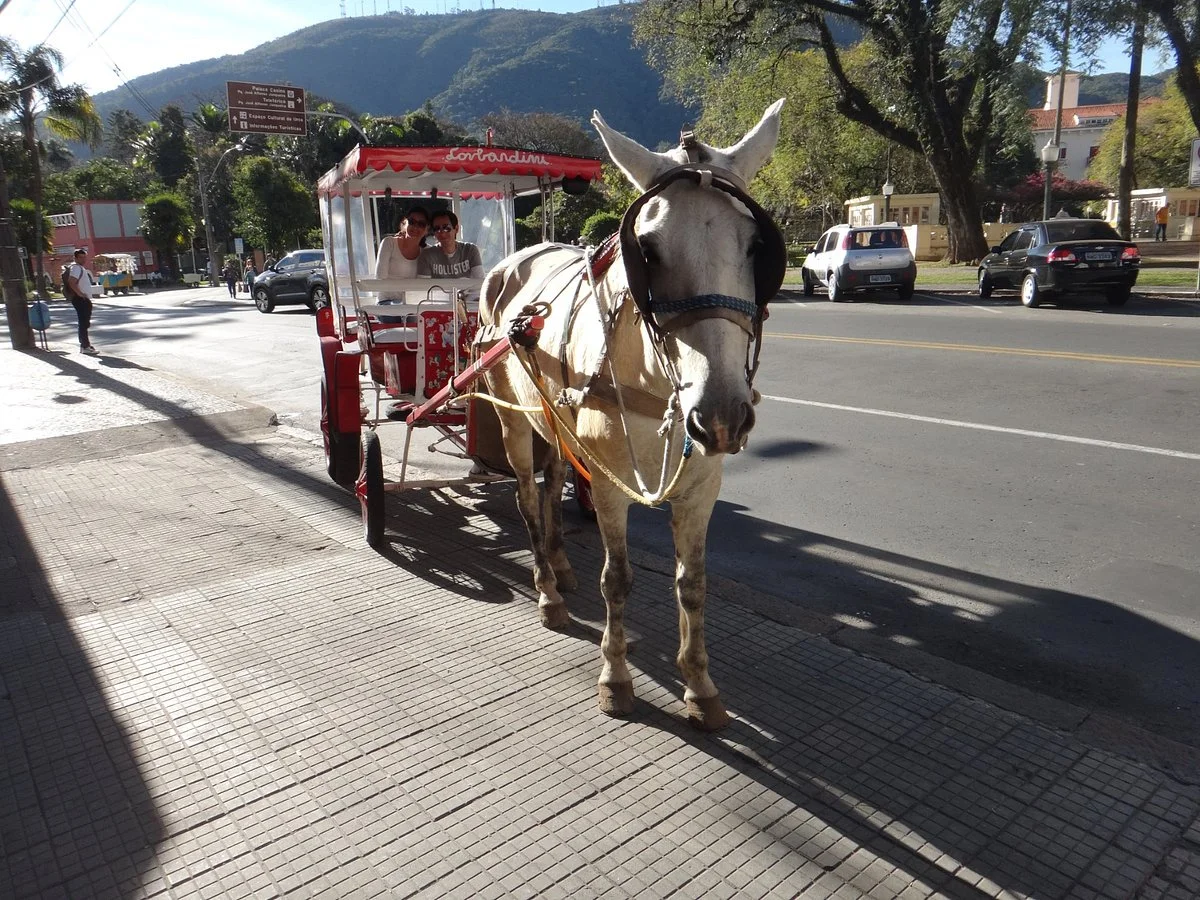 Passeio de Charrete