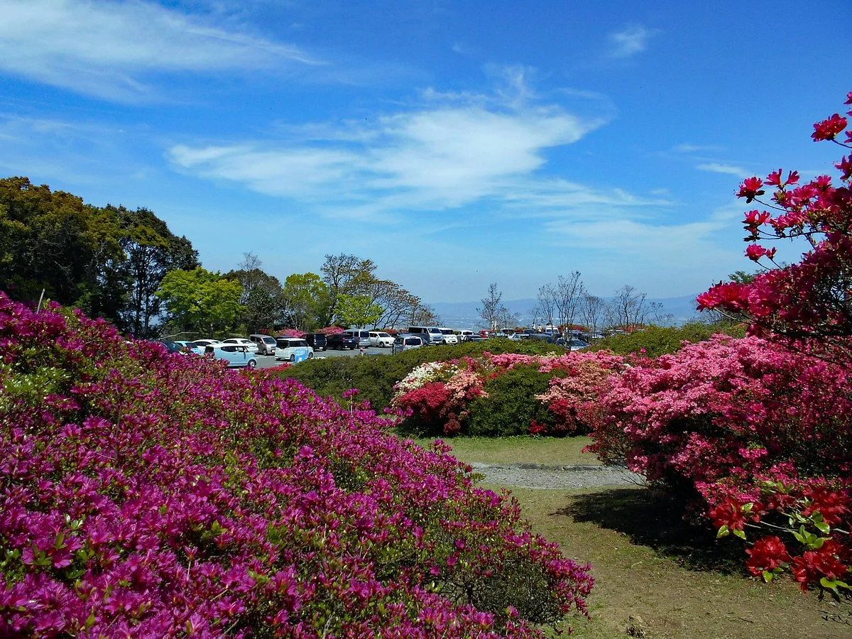 Kurume Forest Tsutsuji Park