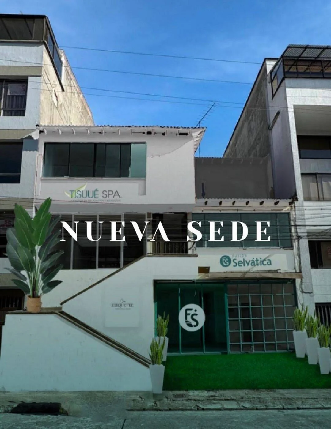 TISUUE SPA