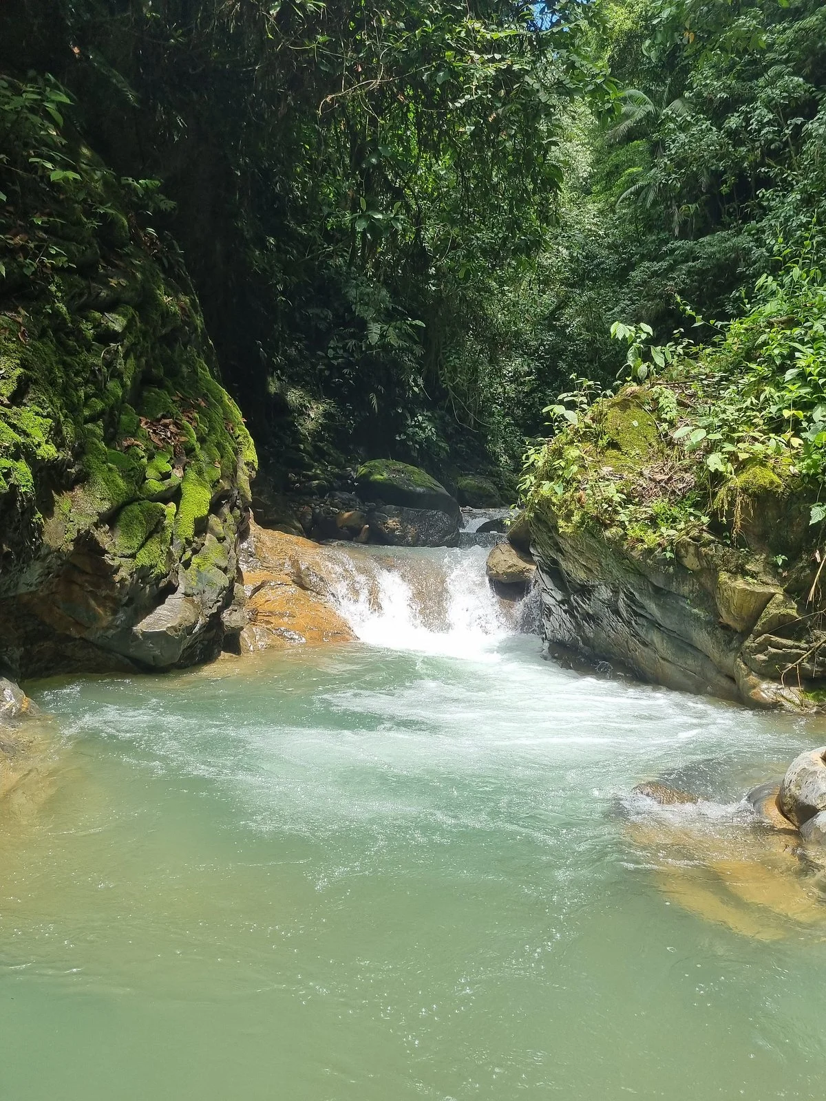 Sendero Turístico Lluvias Eternas