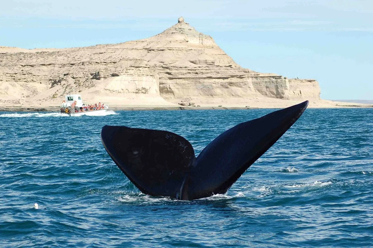 Luna Roja Puerto Madryn
