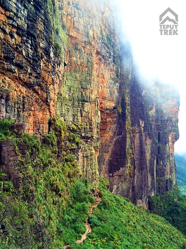 Tepuy Trek