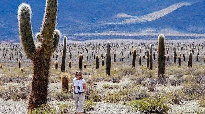 Uma Spa Salta