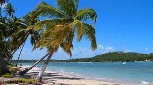 Praia Dos Carneiros