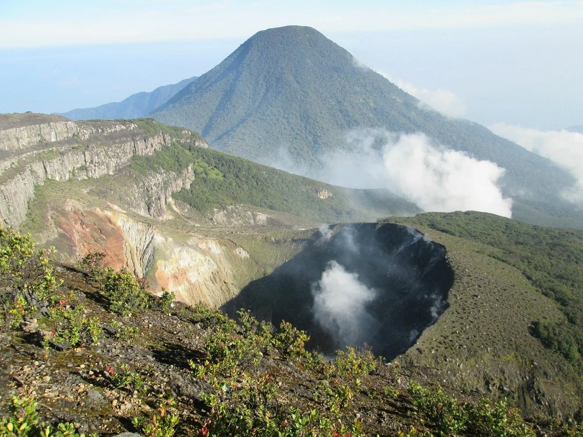 Mount Gede Pangrango National Park