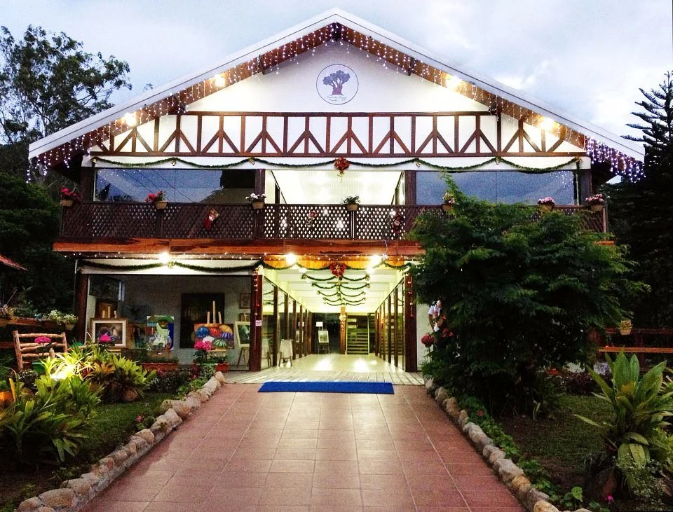 Casa da Árvore