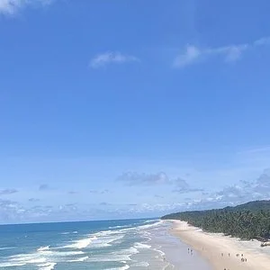 Brother's Surf School