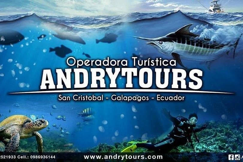ANDRYTOURS