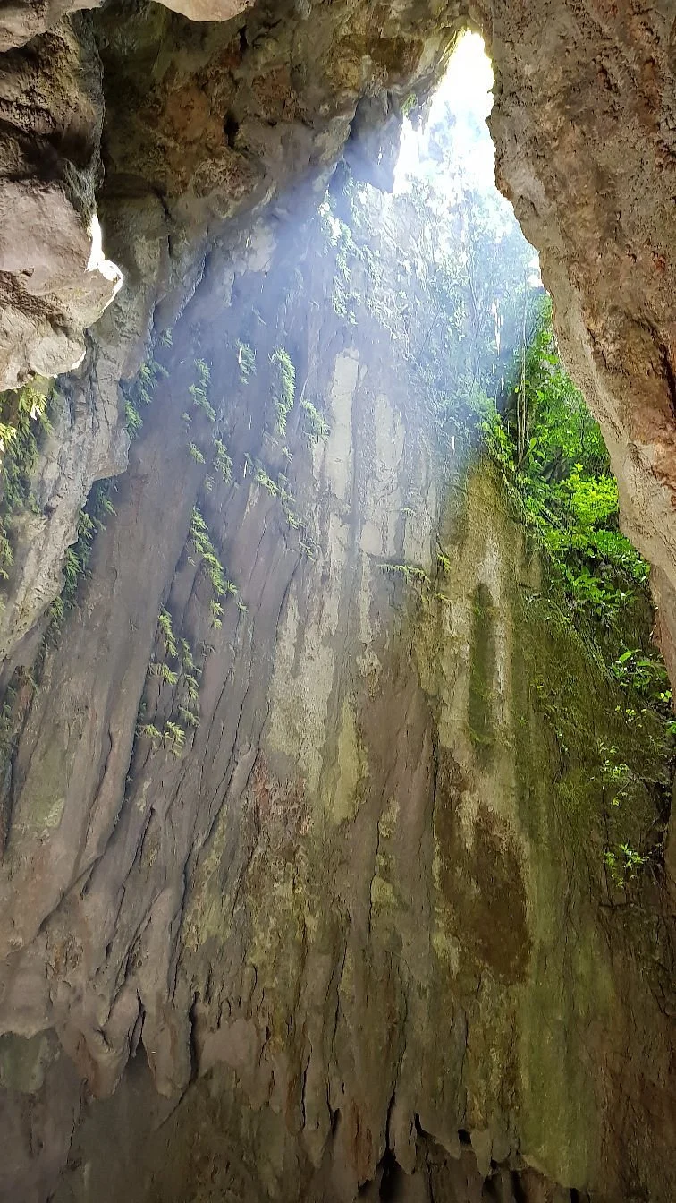 Clearwater / Wind Show Caves