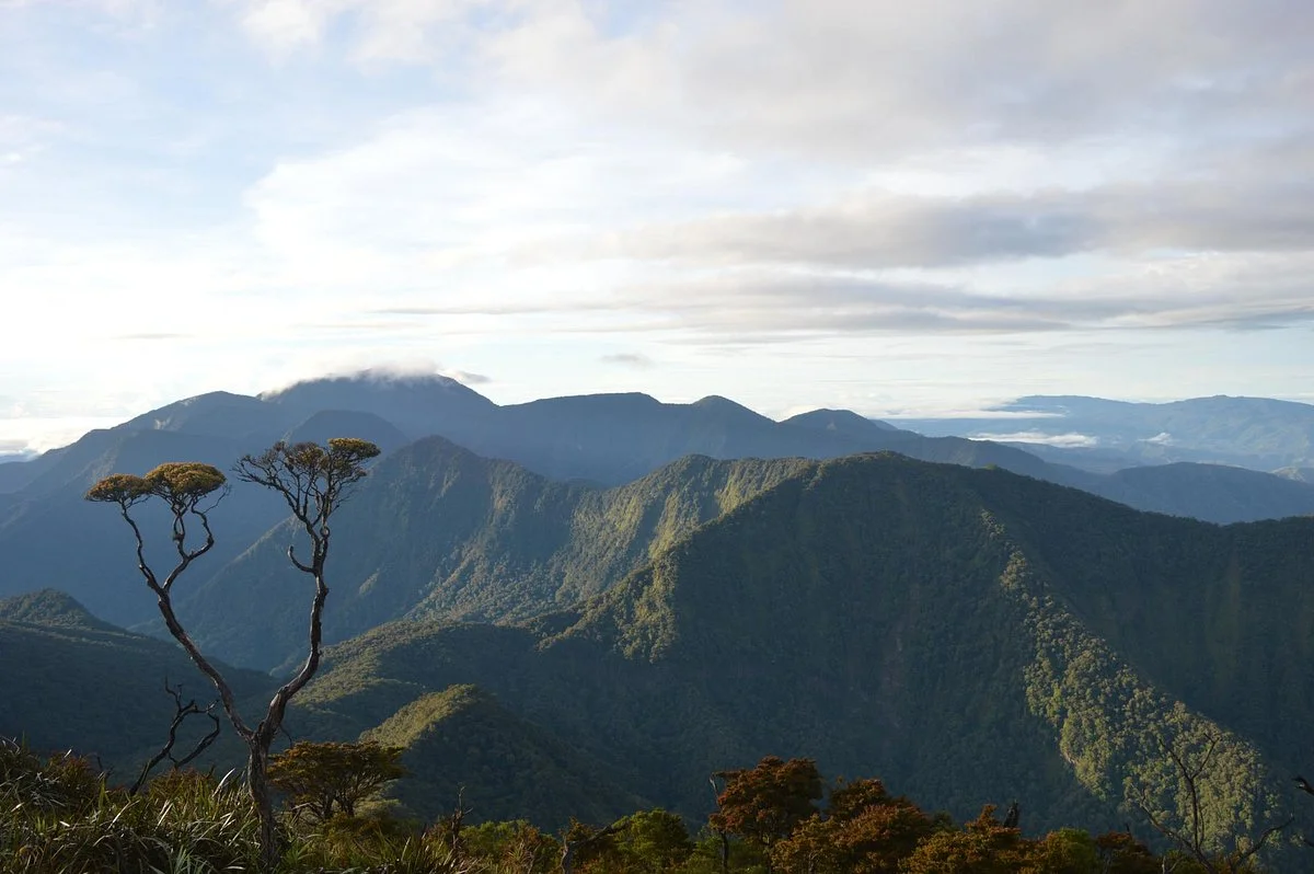 Mt Lumot