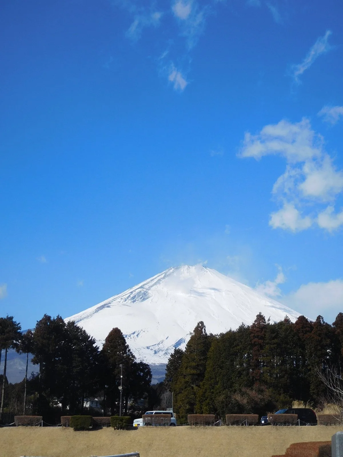 Yuai Park Harasato