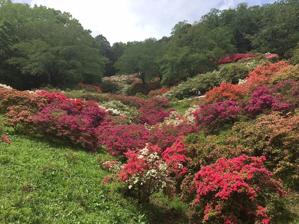 Godaison Azalea Park