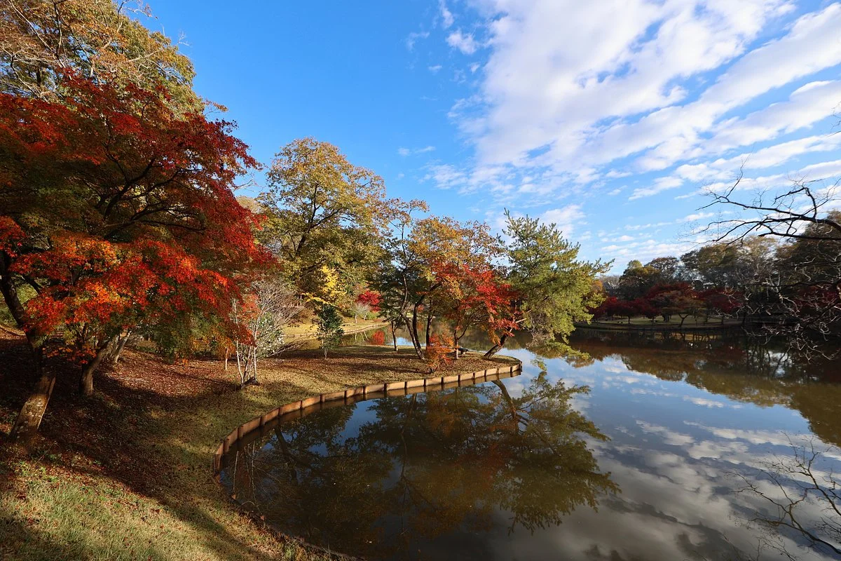 Kitayama Park