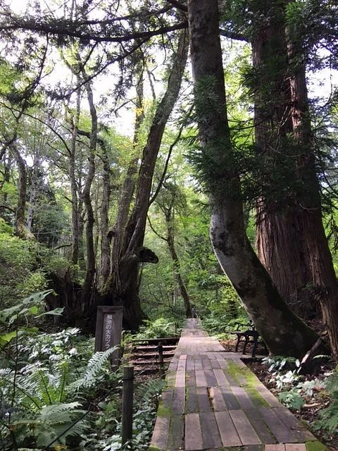 Tajima Kogen Botanical Garden
