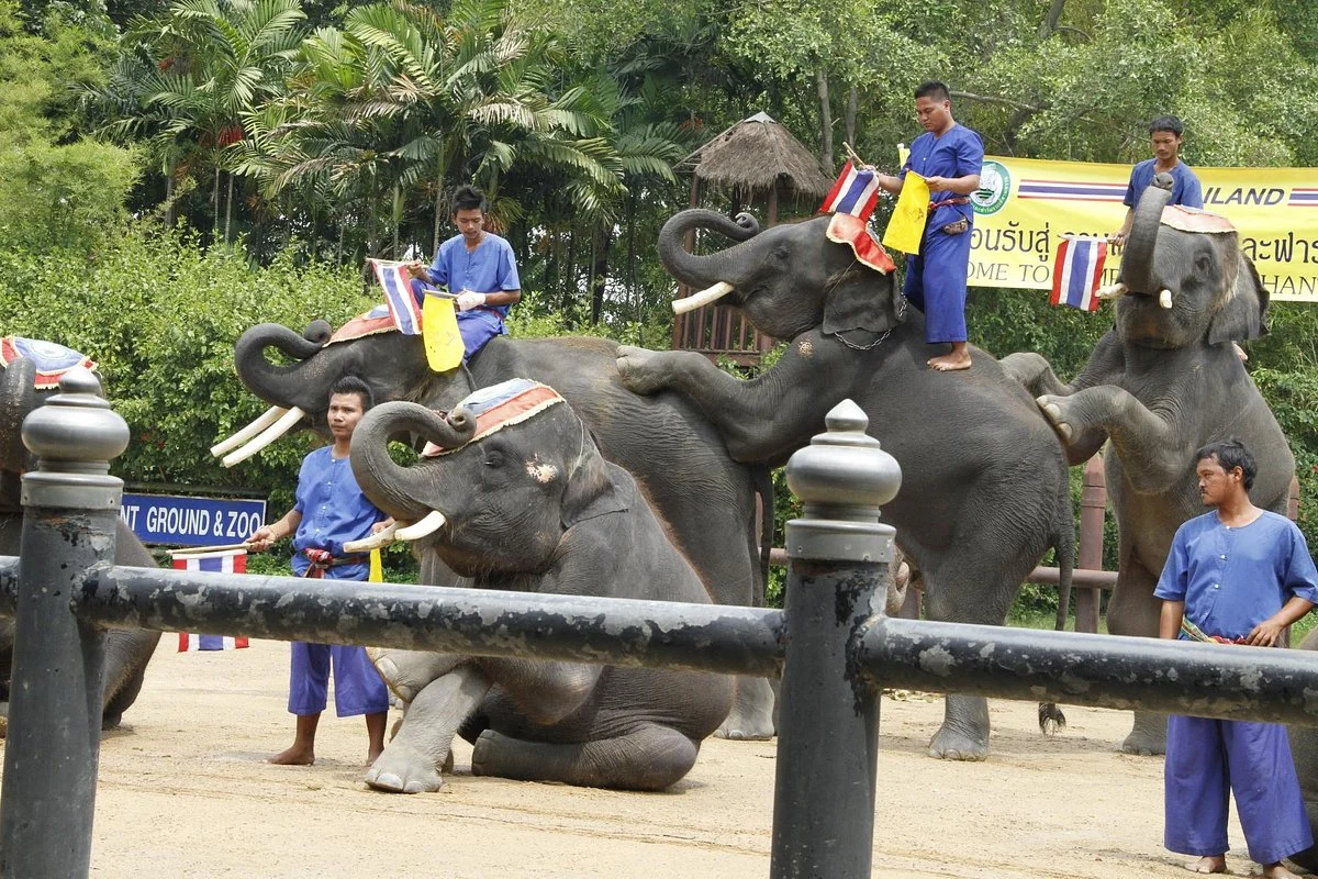 Samphran Elephant Ground & Zoo