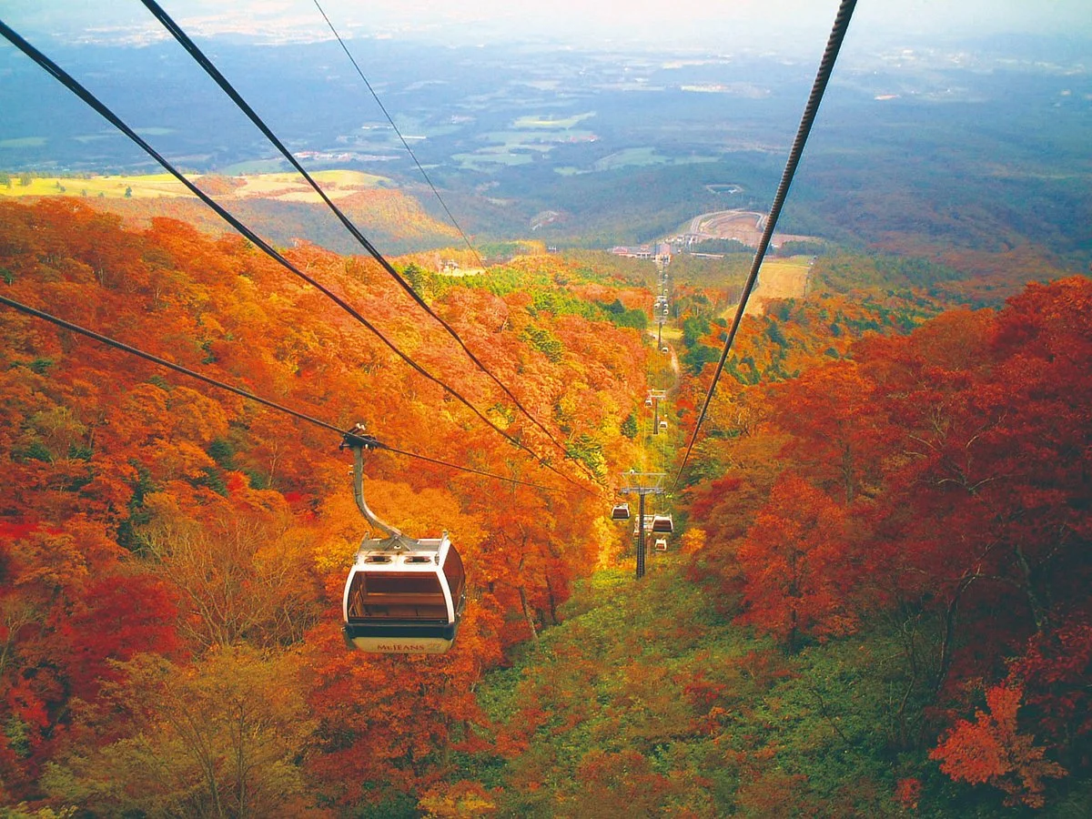 Mt Jeans Nasu