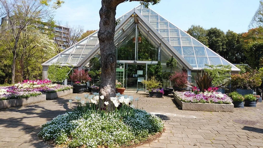 Tama City Green Live Center