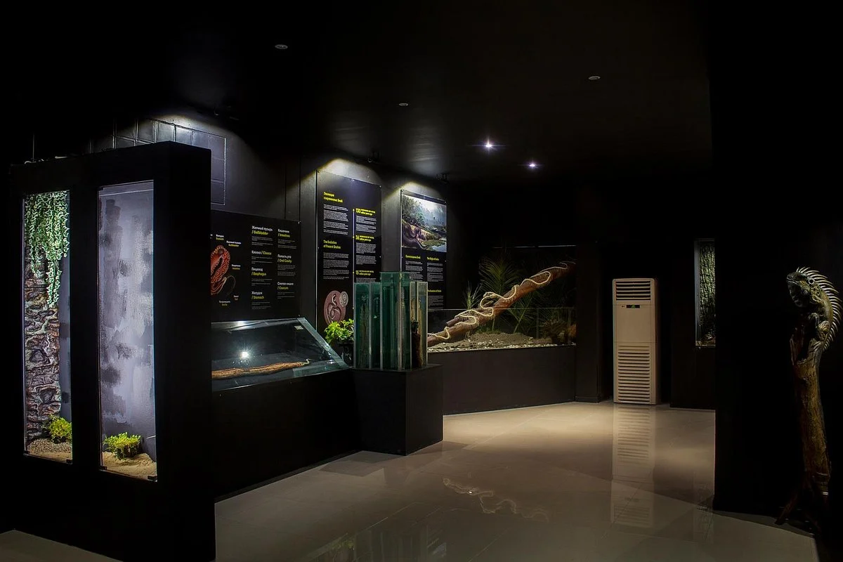 Snake Kingdom