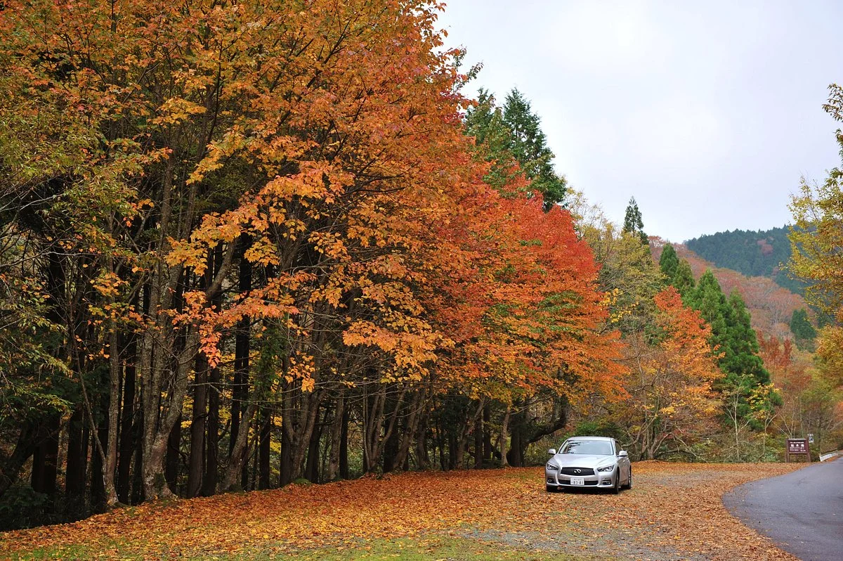 Okayama Forest Park