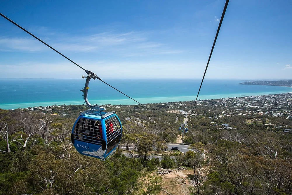Arthurs Seat Eagle
