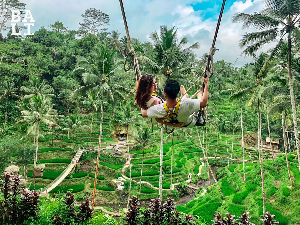 Luwak Coffee Bali Plantation